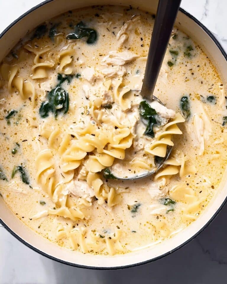 Creamy Chicken Alfredo Soup Recipe