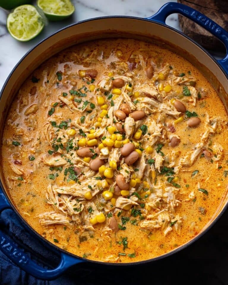 Creamy Chipotle Chicken Soup Recipe