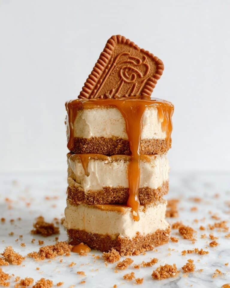 No Bake Biscoff Cheesecake Bars Recipe